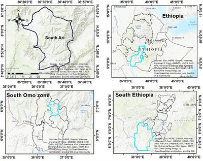 Effects of canopy management of umbrella tree (Terminalia brownii Fres.) on microclimate and maize (Zea mays L.) yield in agroforestry parkland of South Ari District, southern Ethiopia